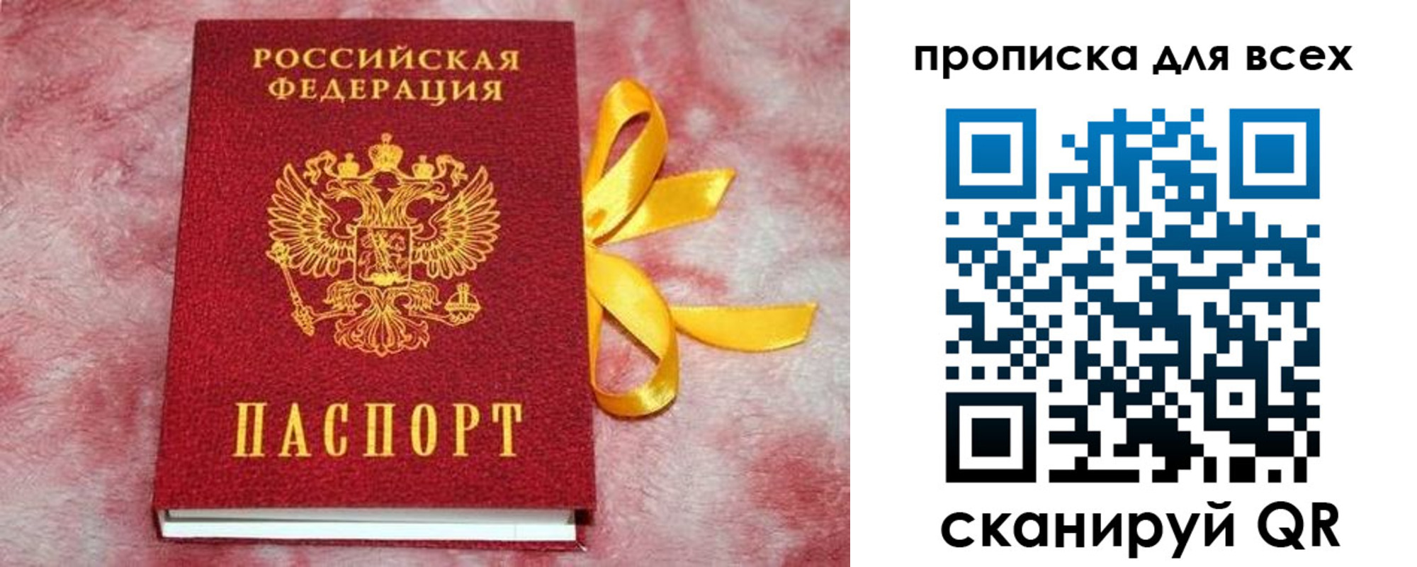 прописка для школы в Выборге